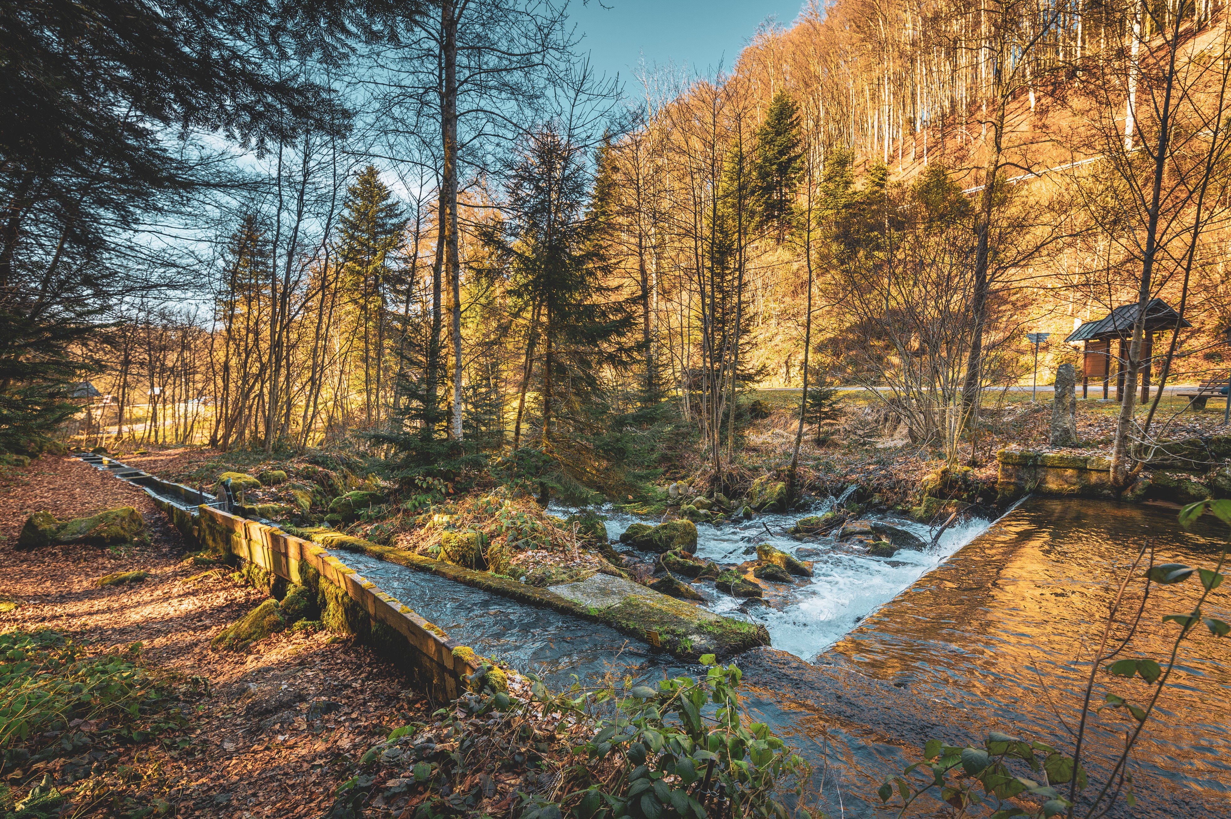 ABTEILUNG DER HÄNNER WUHR